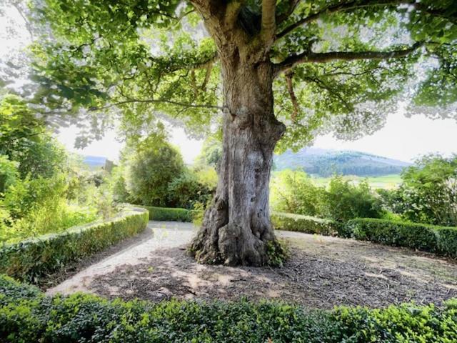 Ghan House Carlingford Bagian luar foto